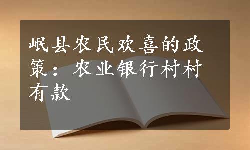 岷县农民欢喜的政策：农业银行村村有款