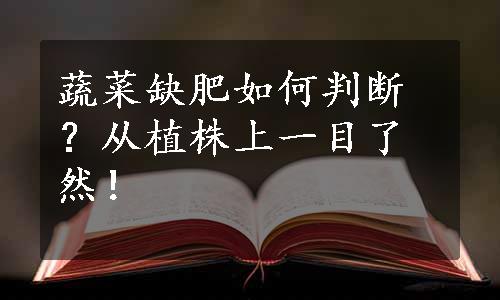 蔬菜缺肥如何判断？从植株上一目了然！