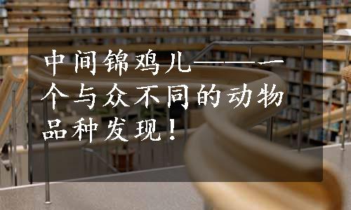 中间锦鸡儿——一个与众不同的动物品种发现！