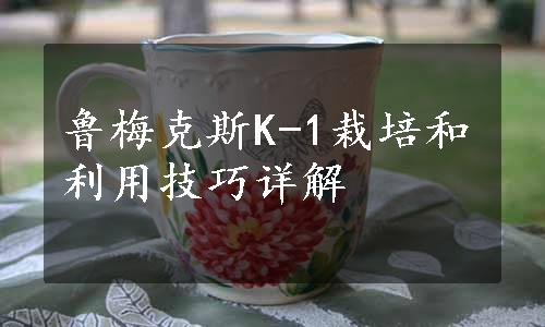 鲁梅克斯K-1栽培和利用技巧详解