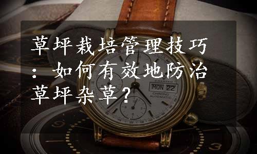 草坪栽培管理技巧：如何有效地防治草坪杂草？