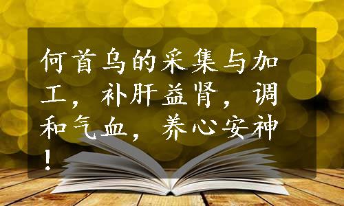 何首乌的采集与加工，补肝益肾，调和气血，养心安神！