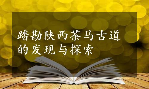 踏勘陕西茶马古道的发现与探索