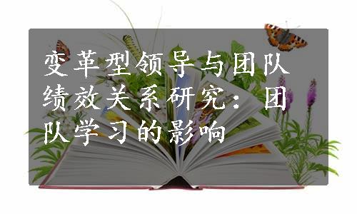 变革型领导与团队绩效关系研究：团队学习的影响