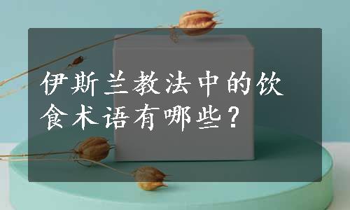 伊斯兰教法中的饮食术语有哪些？