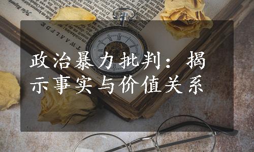 政治暴力批判：揭示事实与价值关系