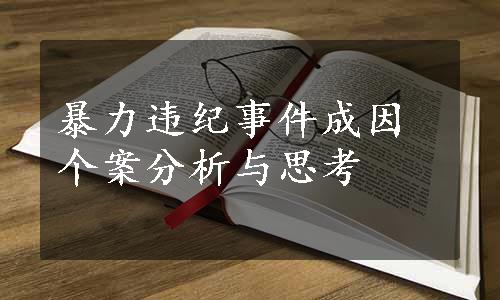 暴力违纪事件成因个案分析与思考