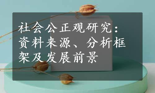 社会公正观研究：资料来源、分析框架及发展前景