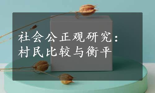 社会公正观研究：村民比较与衡平