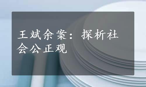 王斌余案：探析社会公正观