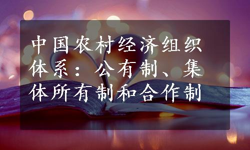 中国农村经济组织体系：公有制、集体所有制和合作制