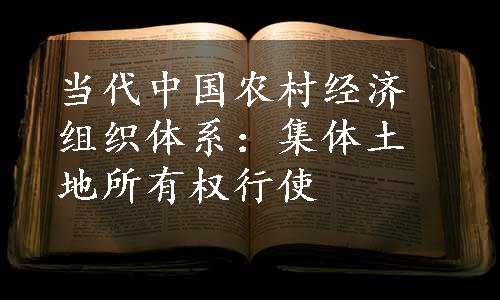 当代中国农村经济组织体系：集体土地所有权行使