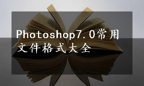 Photoshop7.0常用文件格式大全