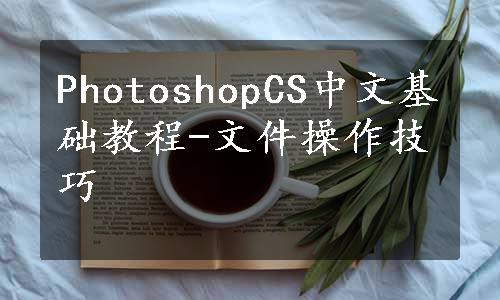 PhotoshopCS中文基础教程-文件操作技巧