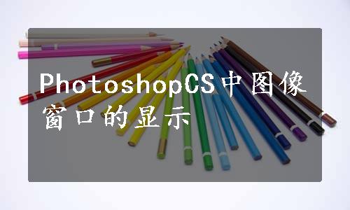 PhotoshopCS中图像窗口的显示