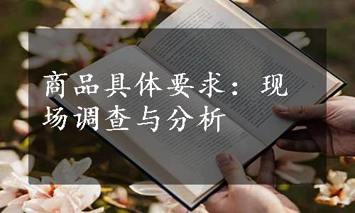 商品具体要求：现场调查与分析