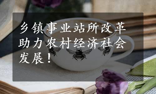 乡镇事业站所改革助力农村经济社会发展！