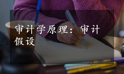 审计学原理：审计假设