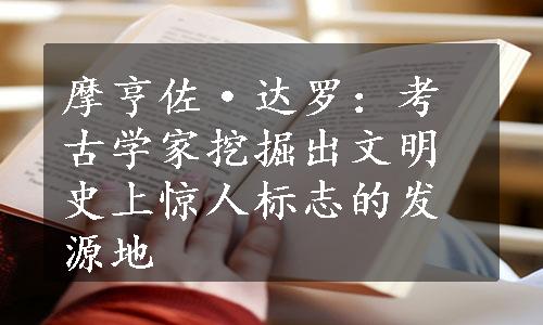 摩亨佐·达罗：考古学家挖掘出文明史上惊人标志的发源地