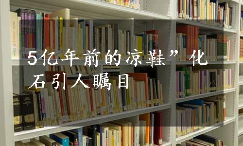 5亿年前的凉鞋”化石引人瞩目