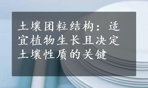 土壤团粒结构：适宜植物生长且决定土壤性质的关键