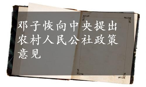 邓子恢向中央提出农村人民公社政策意见