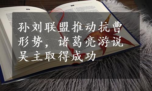 孙刘联盟推动抗曹形势，诸葛亮游说吴主取得成功