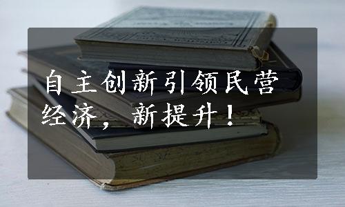 自主创新引领民营经济，新提升！