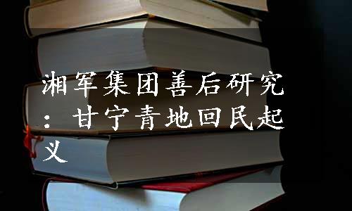 湘军集团善后研究：甘宁青地回民起义