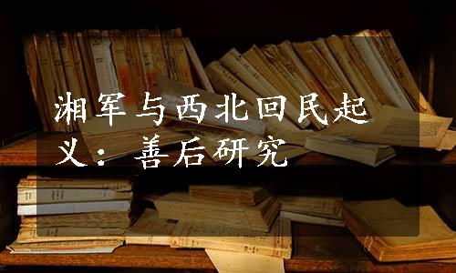 湘军与西北回民起义：善后研究