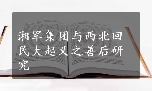 湘军集团与西北回民大起义之善后研究