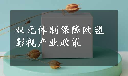 双元体制保障欧盟影视产业政策