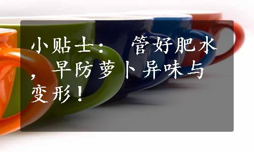 小贴士： 管好肥水，早防萝卜异味与变形！