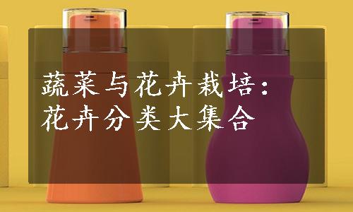 蔬菜与花卉栽培：花卉分类大集合