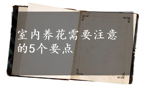 室内养花需要注意的5个要点