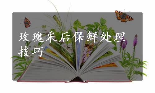 玫瑰采后保鲜处理技巧