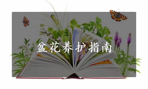 盆花养护指南