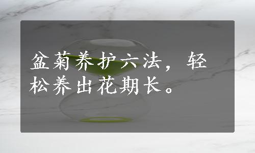 盆菊养护六法，轻松养出花期长。