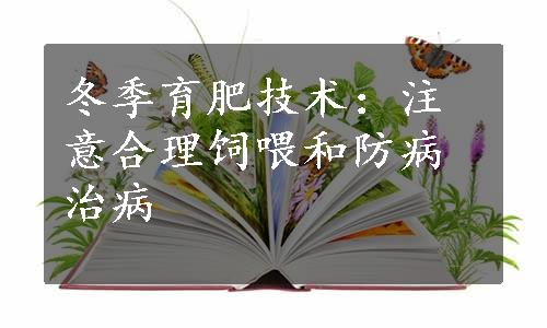 冬季育肥技术：注意合理饲喂和防病治病