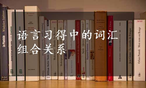 语言习得中的词汇组合关系