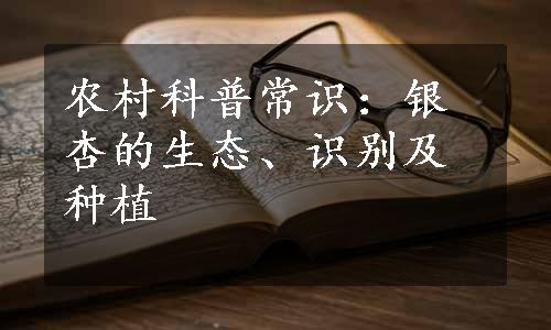 农村科普常识：银杏的生态、识别及种植