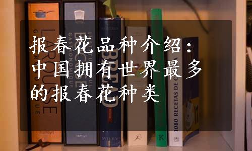 报春花品种介绍：中国拥有世界最多的报春花种类