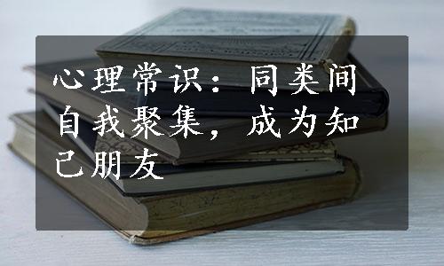 心理常识：同类间自我聚集，成为知己朋友