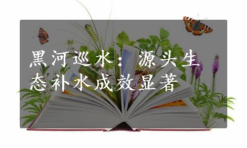 黑河巡水：源头生态补水成效显著