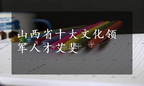 山西省十大文化领军人才艾斐