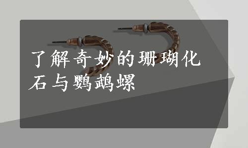 了解奇妙的珊瑚化石与鹦鹉螺