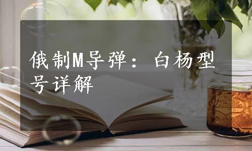 俄制M导弹：白杨型号详解