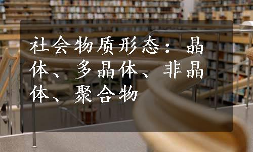 社会物质形态：晶体、多晶体、非晶体、聚合物