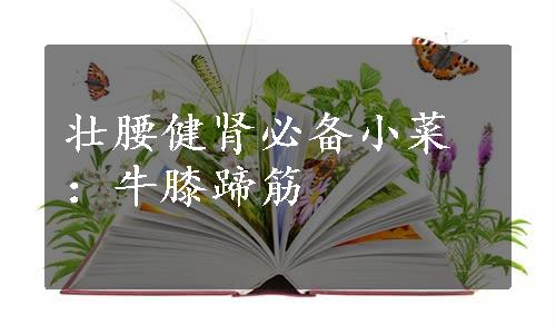 壮腰健肾必备小菜：牛膝蹄筋