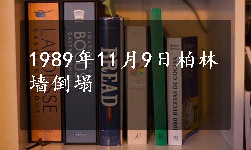 1989年11月9日柏林墙倒塌